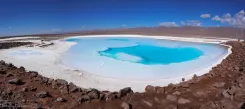 Lagunas de Baltinache: El Caribe de Atacama