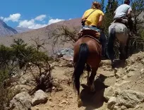 Cabalgata al Mirador: Magia de Pisco Elqui