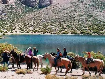 Cabalgata en las Alturas de Pisco Elqui