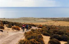 Tour en Bicicleta al Golfo San José