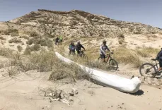 Aventura en bicicleta a Reserva San Pablo y su fauna