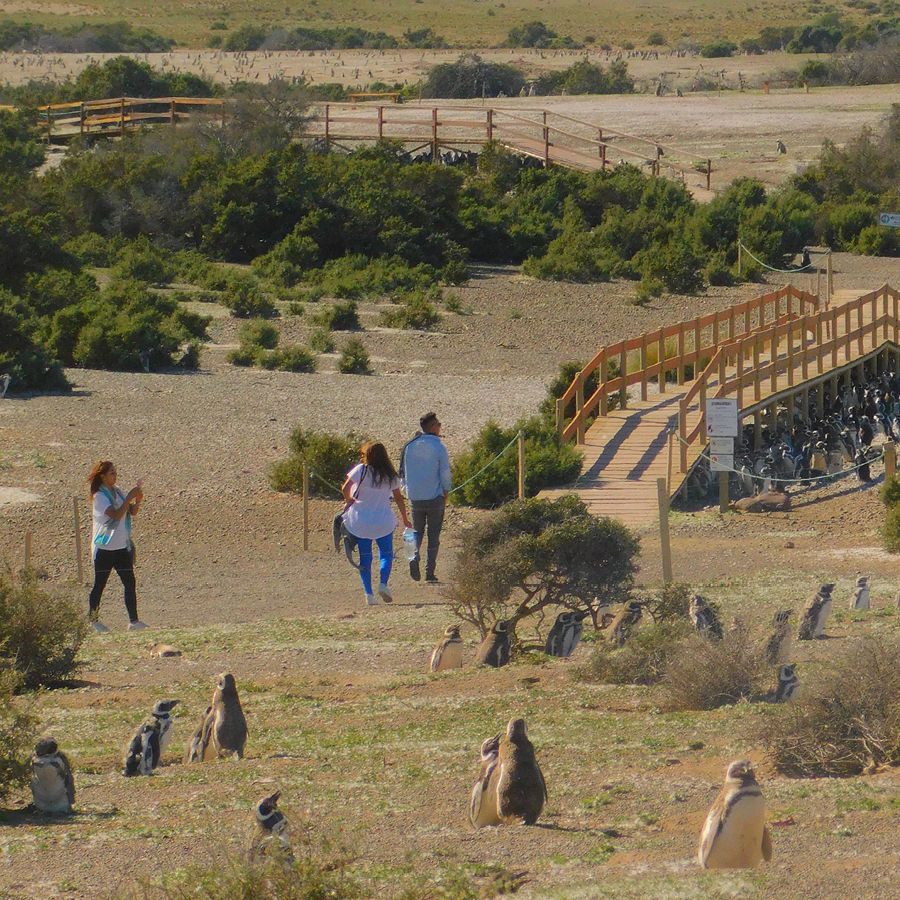 Paisaje de montaña 6